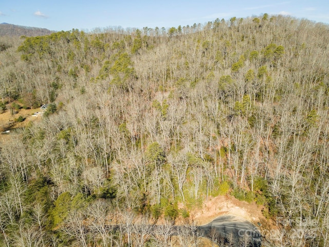 view of nature featuring a view of trees