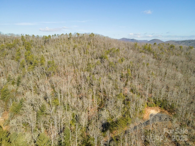 mountain view with a forest view