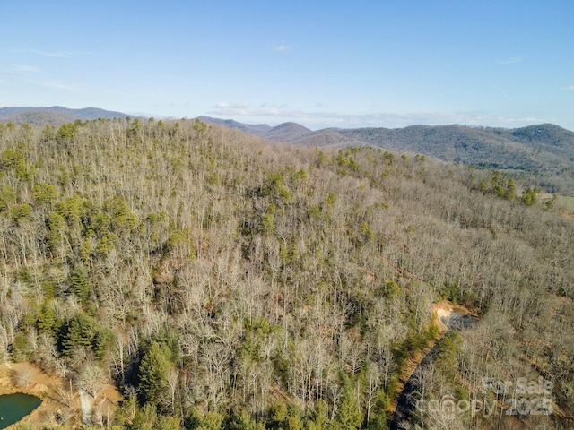 property view of mountains featuring a wooded view