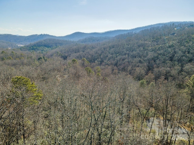 property view of mountains with a view of trees