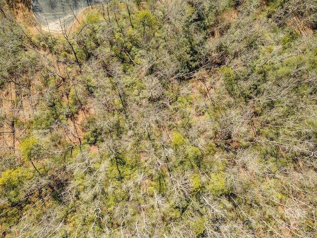 birds eye view of property featuring a forest view