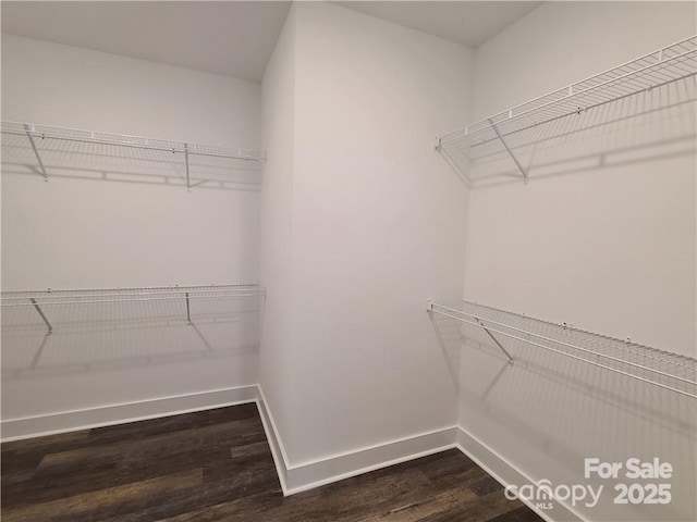 spacious closet featuring dark wood-type flooring