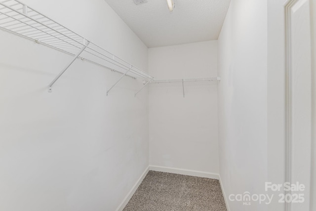 spacious closet featuring carpet flooring