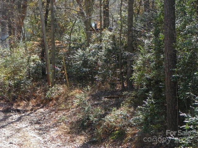 269 Pine Ridge Rd, New London NC, 28127 land for sale