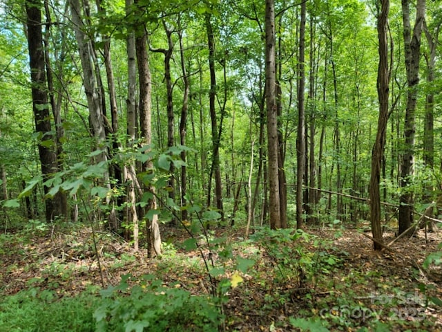 view of landscape