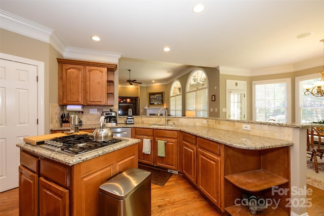 kitchen featuring light wood-style flooring, appliances with stainless steel finishes, a peninsula, open shelves, and a sink