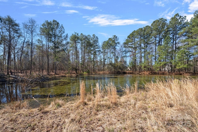 water view with a forest view