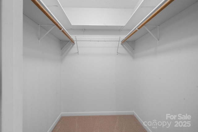 walk in closet with carpet