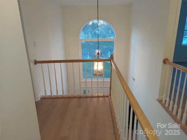 corridor with a high ceiling, an inviting chandelier, and wood finished floors