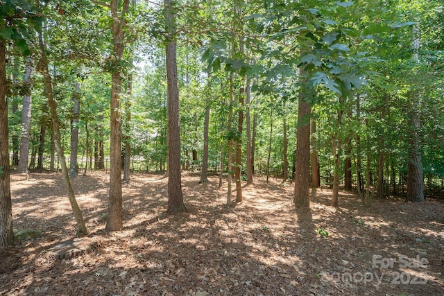 1515 Baltusrol Dr, Denver, NC 28037 - photo 44