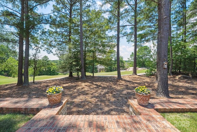 1515 Baltusrol Dr, Denver, NC 28037 - photo 45