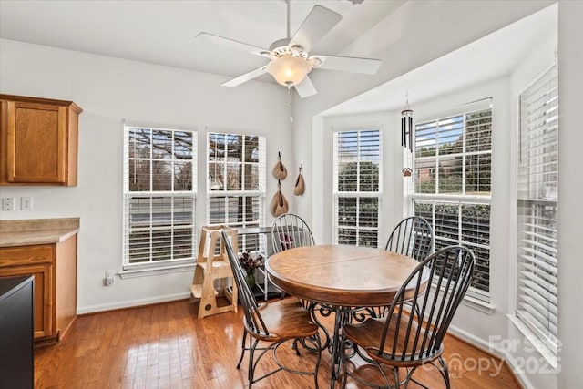 dining room with ceiling fan and light hardwood / wood-style flooring