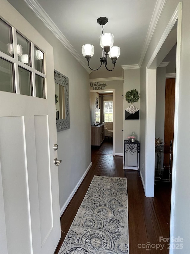 corridor featuring an inviting chandelier, crown molding, and dark hardwood / wood-style floors