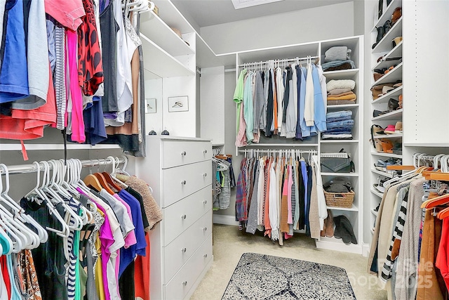 view of spacious closet