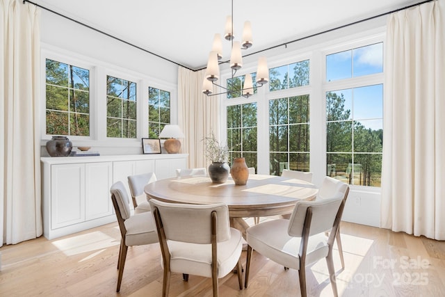 dining room featuring light wood finished floors and a notable chandelier