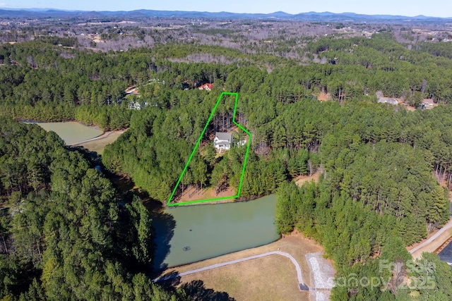 bird's eye view featuring a water view and a forest view