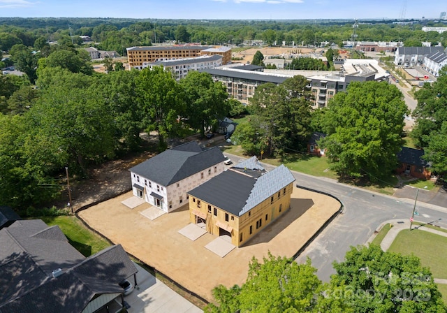 bird's eye view