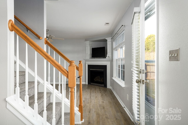 entrance foyer with wood-type flooring and ceiling fan