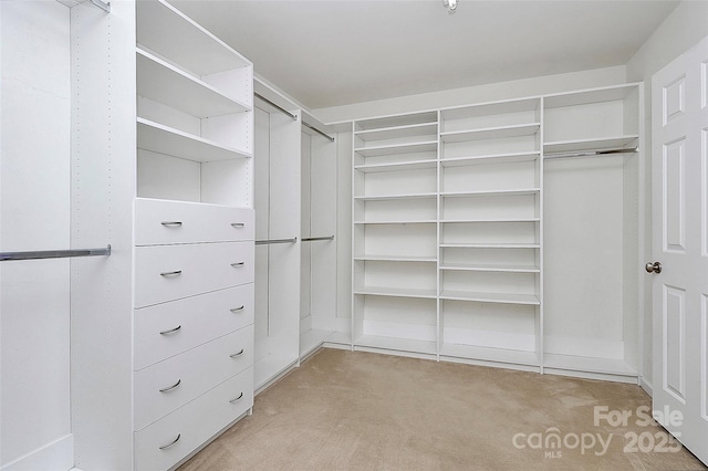 walk in closet with light carpet