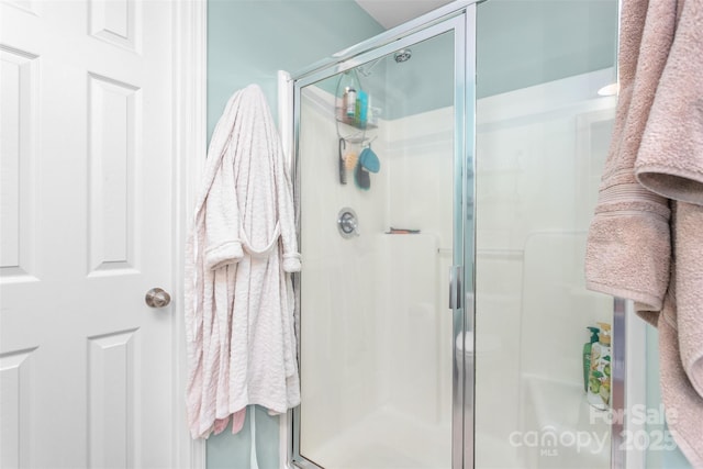 bathroom with a shower stall