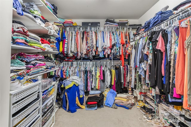 view of walk in closet