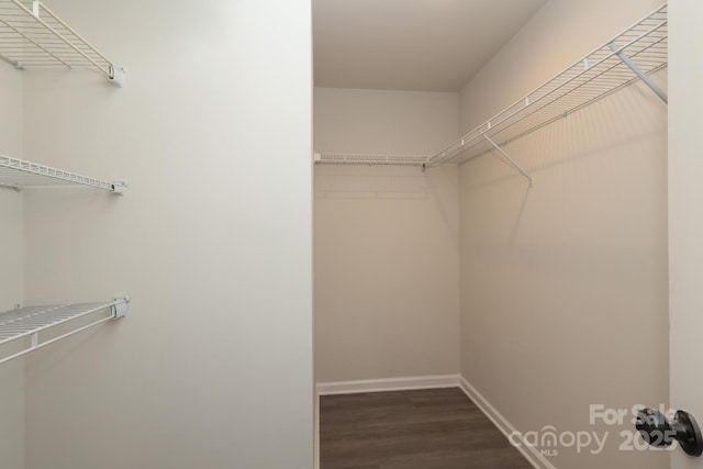 walk in closet featuring dark wood-style flooring