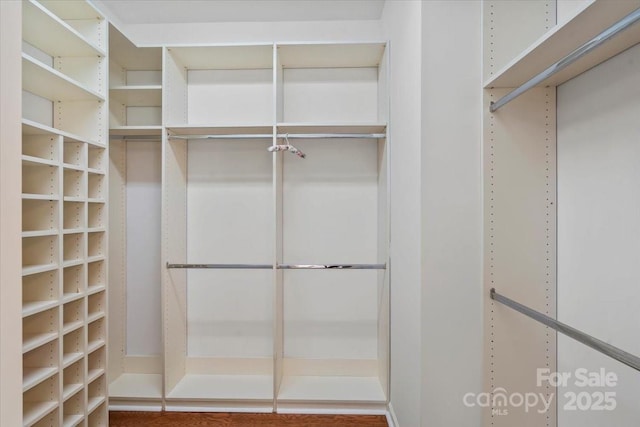 view of spacious closet