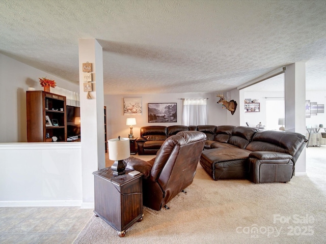 3841 Shasta Cir, Clover, SC 29710 - living area with a textured ceiling