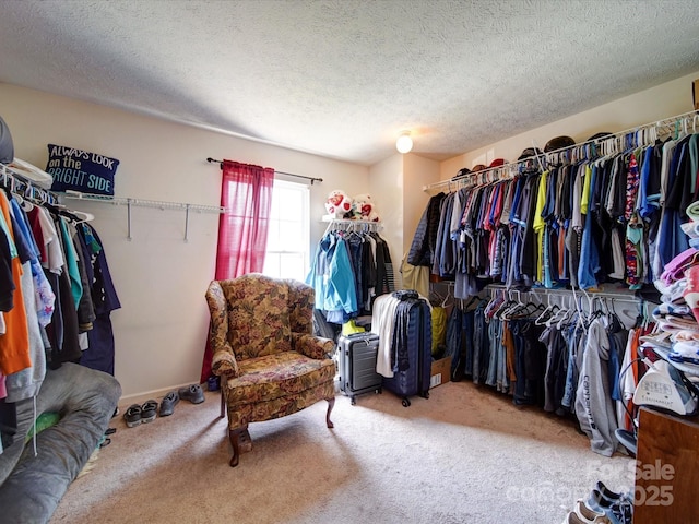 3841 Shasta Cir, Clover, SC 29710 - spacious closet with carpet flooring