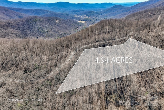 TBD Ox Creek Crest Lane, Weaverville NC, 28787 land for sale