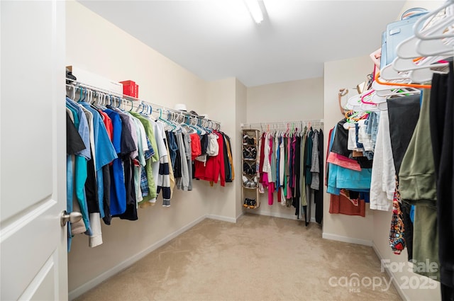 spacious closet featuring light carpet