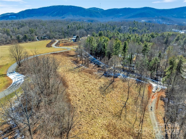 36 Ebenezer Trl Unit 1, Hendersonville NC, 28739 land for sale