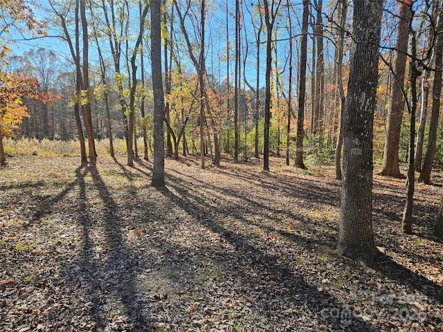 view of landscape featuring a view of trees