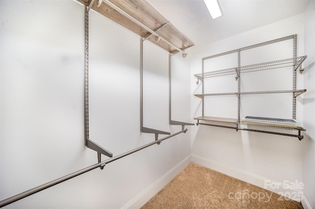 walk in closet featuring light colored carpet