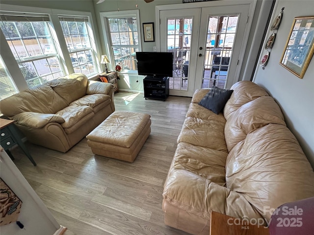 117 Badin Lake Cir, New London, NC 28127 - living area featuring light wood-style floors and french doors