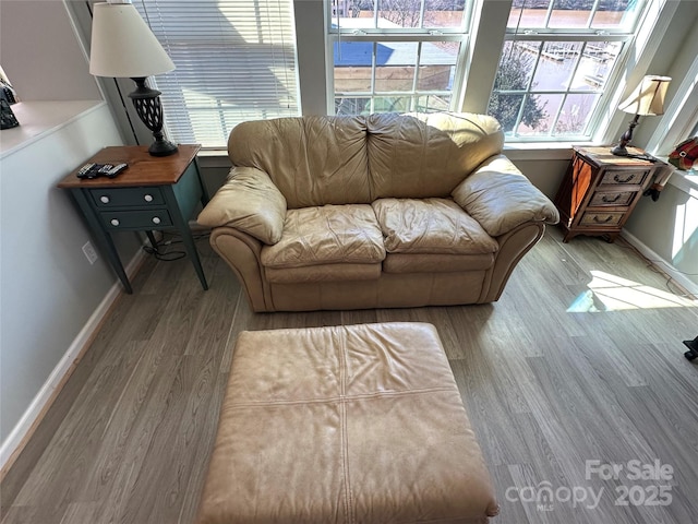 117 Badin Lake Cir, New London, NC 28127 - living room with wood finished floors and baseboards