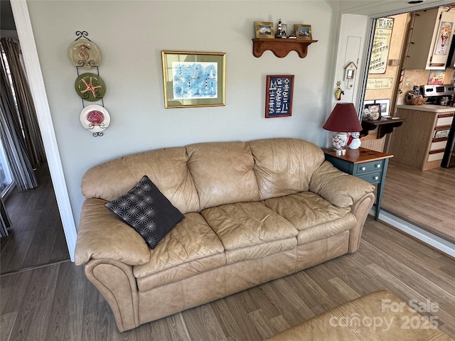 117 Badin Lake Cir, New London, NC 28127 - living area with dark wood-style floors and baseboards