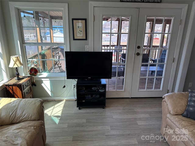 117 Badin Lake Cir, New London, NC 28127 - living area featuring wood finished floors and french doors