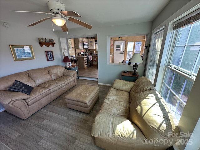 117 Badin Lake Cir, New London, NC 28127 - living area featuring a ceiling fan and wood finished floors