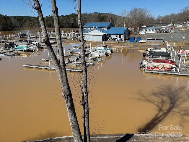 117 Badin Lake Cir, New London, NC 28127 - dock area with a water view