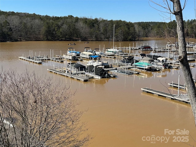 117 Badin Lake Cir, New London, NC 28127 - dock area with a water view and a view of trees