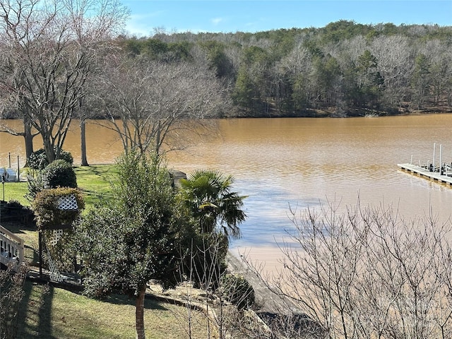 117 Badin Lake Cir, New London, NC 28127 - view of water feature featuring a wooded view