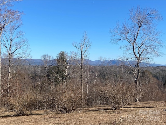 property view of mountains