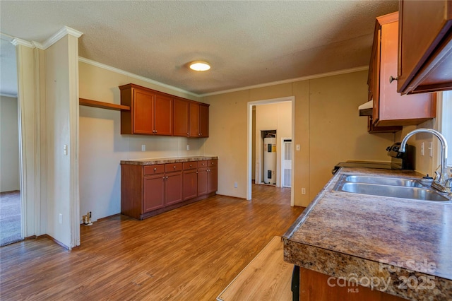 kitchen featuring open shelves, ornamental molding, light wood-type flooring, and a sink