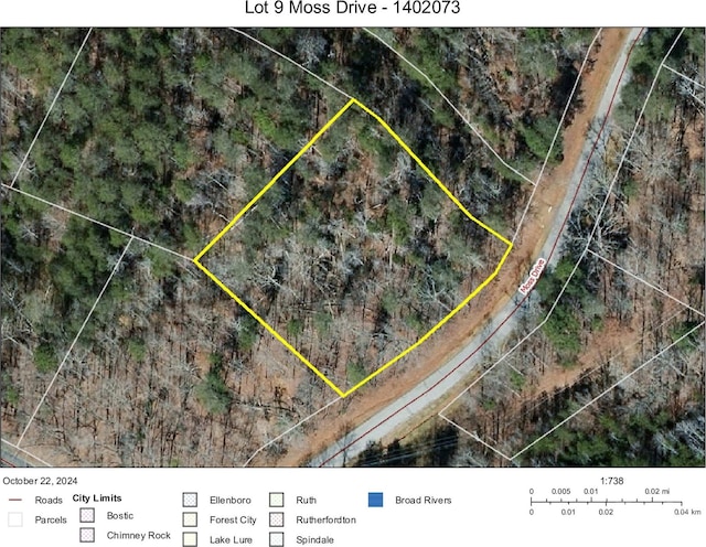 0 Moss Dr Unit 9, Rutherfordton NC, 28139 land for sale