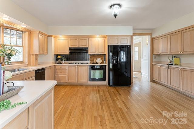 1 Evelyn Pl, Asheville, NC 28801 - photo 15