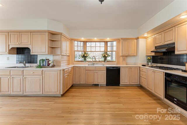 1 Evelyn Pl, Asheville, NC 28801 - photo 16