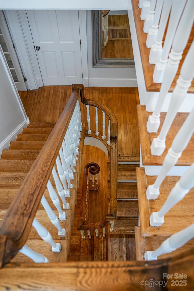 1 Evelyn Pl, Asheville, NC 28801 - photo 26