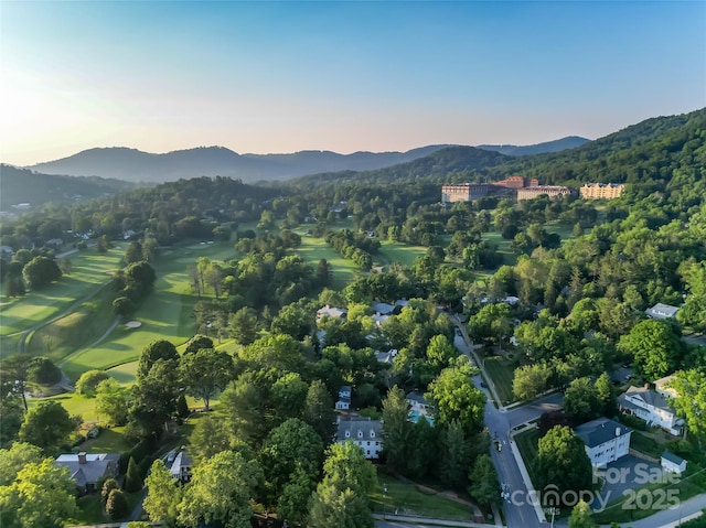 1 Evelyn Pl, Asheville, NC 28801 - photo 30