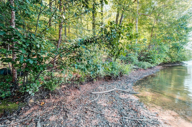 0 Carriage Rd, Statesville, NC 28677 - photo 1